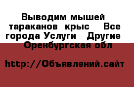 Выводим мышей ,тараканов, крыс. - Все города Услуги » Другие   . Оренбургская обл.